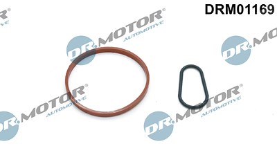 Dr.motor Automotive Dichtungssatz, Unterdruckpumpe [Hersteller-Nr. DRM01169] für Citroën, Ds, Ford, Peugeot von DR.MOTOR AUTOMOTIVE