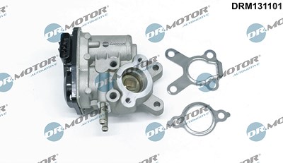 Dr.motor Automotive AGR-Ventil [Hersteller-Nr. DRM131101] für Nissan von DR.MOTOR AUTOMOTIVE