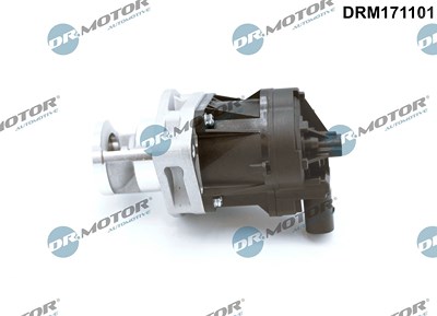 Dr.motor Automotive AGR-Ventil [Hersteller-Nr. DRM171101] für Chrysler, Jeep, Lancia, Maserati, Ram von DR.MOTOR AUTOMOTIVE