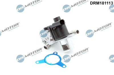 Dr.motor Automotive AGR-Ventil [Hersteller-Nr. DRM181113] für Dacia, Nissan, Renault von DR.MOTOR AUTOMOTIVE