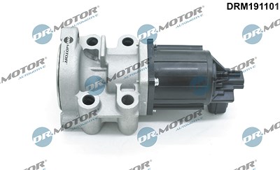 Dr.motor Automotive AGR-Ventil [Hersteller-Nr. DRM191101] für Mitsubishi von DR.MOTOR AUTOMOTIVE