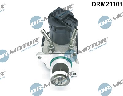 Dr.motor Automotive AGR-Ventil [Hersteller-Nr. DRM21101] für BMW von DR.MOTOR AUTOMOTIVE