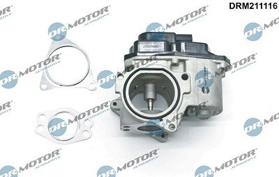 Dr.motor Automotive AGR-Ventil [Hersteller-Nr. DRM211116] für Audi, Seat, Skoda, VW von DR.MOTOR AUTOMOTIVE