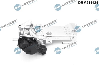 Dr.motor Automotive AGR-Ventil [Hersteller-Nr. DRM211124] für Audi, Seat von DR.MOTOR AUTOMOTIVE