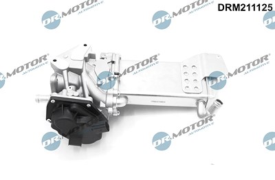 Dr.motor Automotive AGR-Ventil [Hersteller-Nr. DRM211125] für VW von DR.MOTOR AUTOMOTIVE