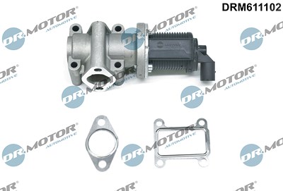 Dr.motor Automotive AGR-Ventil [Hersteller-Nr. DRM611102] für Alfa Romeo, Fiat, Lancia, Opel, Saab von DR.MOTOR AUTOMOTIVE