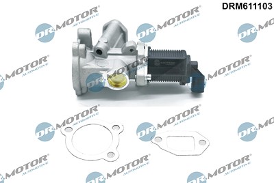 Dr.motor Automotive AGR-Ventil [Hersteller-Nr. DRM611103] für Fiat, Lancia, Opel, Suzuki, Vauxhall von DR.MOTOR AUTOMOTIVE