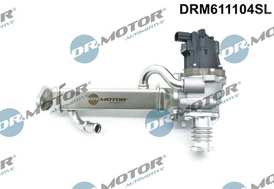 Dr.motor Automotive AGR-Ventil [Hersteller-Nr. DRM611104SL] für Fiat von DR.MOTOR AUTOMOTIVE