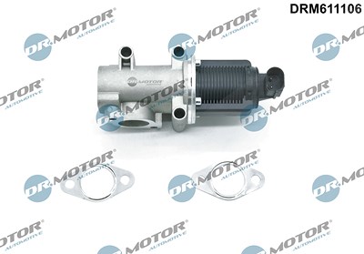 Dr.motor Automotive AGR-Ventil [Hersteller-Nr. DRM611106] für Alfa Romeo, Fiat, Lancia von DR.MOTOR AUTOMOTIVE