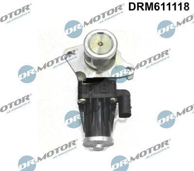 Dr.motor Automotive AGR-Ventil [Hersteller-Nr. DRM611118] für Alfa Romeo, Citroën, Fiat, Lancia, Opel, Peugeot, Suzuki von DR.MOTOR AUTOMOTIVE