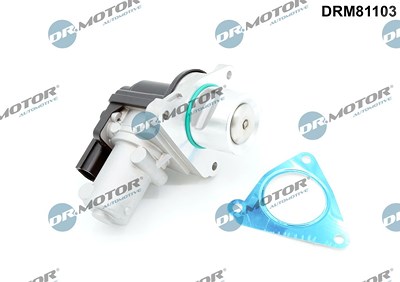 Dr.motor Automotive AGR-Ventil [Hersteller-Nr. DRM81103] für Hyundai, Kia von DR.MOTOR AUTOMOTIVE