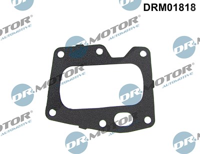 Dr.motor Automotive Dichtung, AGR-Ventil [Hersteller-Nr. DRM01818] für Citroën, Ds, Fiat, Ford, Ford Usa, Opel, Peugeot, Toyota von DR.MOTOR AUTOMOTIVE