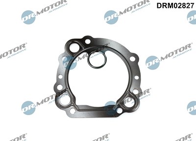 Dr.motor Automotive Dichtung, AGR-Ventil [Hersteller-Nr. DRM02827] für Ford von DR.MOTOR AUTOMOTIVE