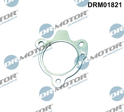 Dr.motor Automotive Dichtung, Abgasrohr [Hersteller-Nr. DRM01821] für Dacia, Mercedes-Benz, Nissan, Renault von DR.MOTOR AUTOMOTIVE