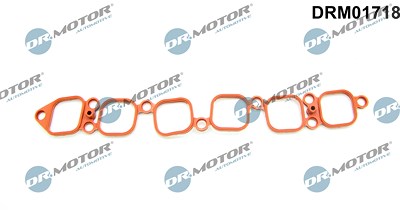 Dr.motor Automotive Dichtung, Ansaugkrümmer [Hersteller-Nr. DRM01718] für Audi, Porsche, VW von DR.MOTOR AUTOMOTIVE