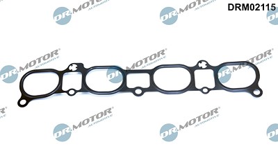 Dr.motor Automotive Dichtung, Ansaugkrümmer [Hersteller-Nr. DRM02115] für Mazda von DR.MOTOR AUTOMOTIVE