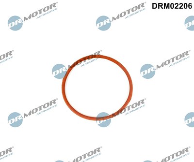 Dr.motor Automotive Dichtung, Ansaugkrümmer [Hersteller-Nr. DRM02206] für Volvo von DR.MOTOR AUTOMOTIVE