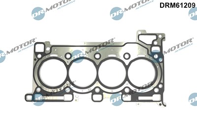 Dr.motor Automotive Dichtung, Zylinderkopf [Hersteller-Nr. DRM61209] für Alfa Romeo, Jeep von DR.MOTOR AUTOMOTIVE