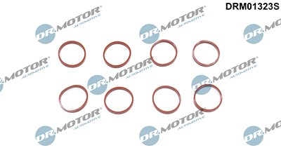 Dr.motor Automotive Dichtungssatz, Ansaugkrümmer [Hersteller-Nr. DRM01323S] für Jaguar, Land Rover von DR.MOTOR AUTOMOTIVE