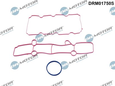 Dr.motor Automotive Dichtungssatz, Ansaugkrümmer [Hersteller-Nr. DRM01750S] für Ford von DR.MOTOR AUTOMOTIVE