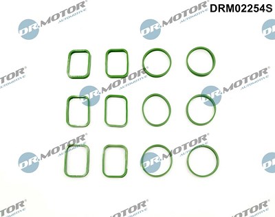 Dr.motor Automotive Dichtungssatz, Ansaugkrümmer [Hersteller-Nr. DRM02254S] für Audi, Porsche, VW von DR.MOTOR AUTOMOTIVE