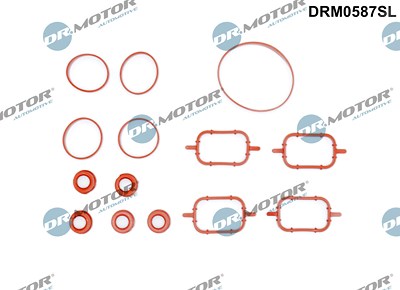 Dr.motor Automotive Dichtungssatz, Ansaugkrümmer [Hersteller-Nr. DRM0587SL] für BMW, Land Rover, Mg, Rover von DR.MOTOR AUTOMOTIVE