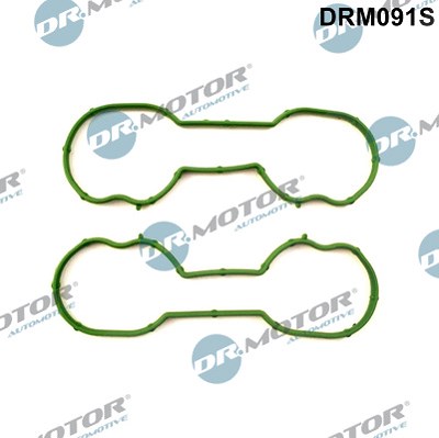 Dr.motor Automotive Dichtungssatz, Ansaugkrümmer [Hersteller-Nr. DRM091S] für Ford von DR.MOTOR AUTOMOTIVE