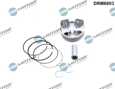 Dr.motor Automotive Kolben [Hersteller-Nr. DRM6603] für Ford von DR.MOTOR AUTOMOTIVE