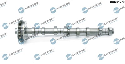 Dr.motor Automotive Nockenwelle [Hersteller-Nr. DRM01279] für Audi, Seat, Skoda, VW von DR.MOTOR AUTOMOTIVE