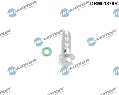 Dr.motor Automotive Reparatursatz, Ölpumpe [Hersteller-Nr. DRM01879R] für Citroën, Fiat, Ford, Jaguar, Land Rover, Peugeot von DR.MOTOR AUTOMOTIVE