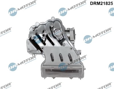 Dr.motor Automotive Saugrohrmodul [Hersteller-Nr. DRM21825] für Audi, Seat, Skoda, VW von DR.MOTOR AUTOMOTIVE