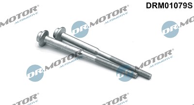 Dr.motor Automotive Schraube, Einspritzdüsenhalter [Hersteller-Nr. DRM01079S] für Audi, Seat, Skoda, VW von DR.MOTOR AUTOMOTIVE