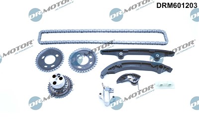 Dr.motor Automotive Steuerkettensatz [Hersteller-Nr. DRM601203] für Citroën, Fiat, Ford, Peugeot von DR.MOTOR AUTOMOTIVE