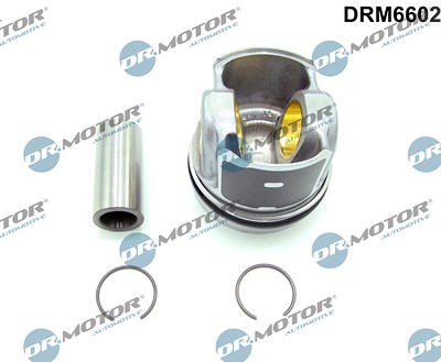 Dr.motor Automotive Teilmotor [Hersteller-Nr. DRM6602] für Ford von DR.MOTOR AUTOMOTIVE