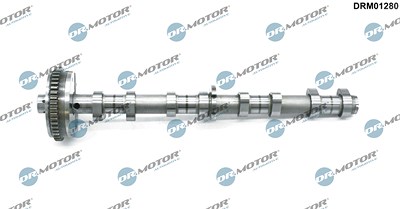 Dr.motor Automotive Nockenwelle [Hersteller-Nr. DRM01280] für Audi, VW, Skoda, Seat von DR.MOTOR AUTOMOTIVE