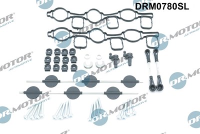 Dr.motor Automotive Reparatursatz, Saugrohrmodul [Hersteller-Nr. DRM0780SL] für Audi, VW von DR.MOTOR AUTOMOTIVE