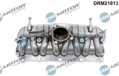 Dr.motor Automotive Saugrohrmodul [Hersteller-Nr. DRM21813] für Audi, Seat, Skoda, VW von DR.MOTOR AUTOMOTIVE