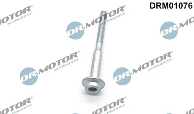 Dr.motor Automotive Schraube, Einspritzdüsenhalter [Hersteller-Nr. DRM01076] für Audi, Seat, Skoda, VW von DR.MOTOR AUTOMOTIVE