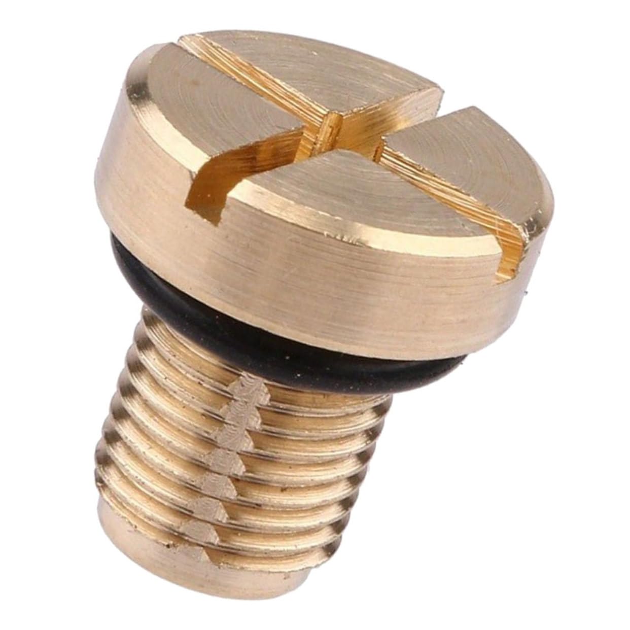 DRESSOOS Kühlmittelbehälter Entlüftungsschraube Für E36 E39 E46 Radiator Expansion Tank Bleeder Screw M10*1 Hochwertige Schraube Für Effiziente Kühlmittelentlüftung von DRESSOOS