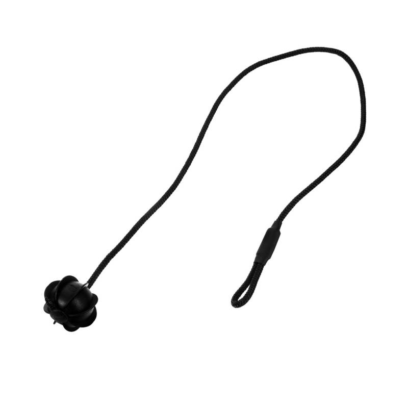 Kofferraum Lanyard Kabelbinder Auto Heck Kofferraumgurt Auto Kofferraum Krawattengurt Heckkoffer Krawattengurt Hutablage Gurt Mit Kugel Hutablage Krawattengurt Auto DRESSOOS von DRESSOOS