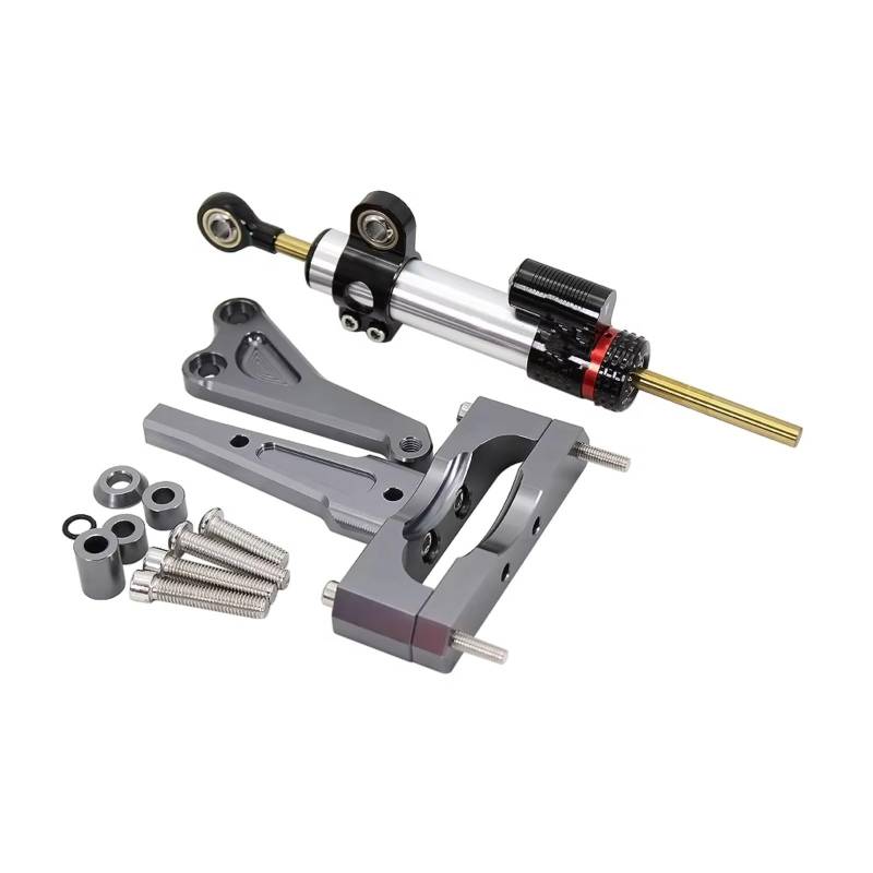 DSEQOPHH Motorrad Lenkungsdämpfer Für CB150R Für CB250R Für CB300R 2018 2019 2020 Motorrad Lenkung Stabilisator Dämpfer Montage Halterung Kit Einstellbar(Silver-Gray) von DSEQOPHH