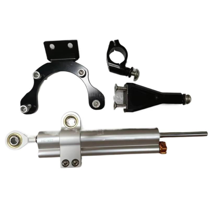 DSEQOPHH Motorrad Lenkungsdämpfer Für Z 900 Für Z900 2021-2023 Motorrad Stabilisator Lenkung Dämpfer Montage Universal Halterung Kit Linear Stoßdämpfer(Silver) von DSEQOPHH