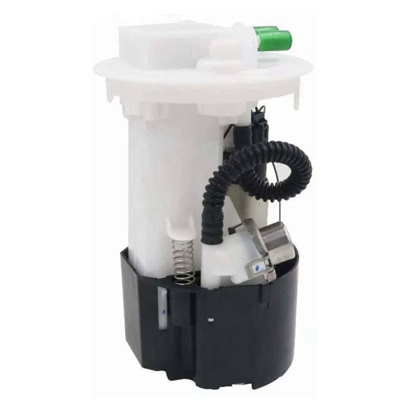 Electric Fuel Pump Module Assembly Compatible With RENAULT KANGOO KC0/1 Express FC0/1 8200029080 von DSPLJQRYX