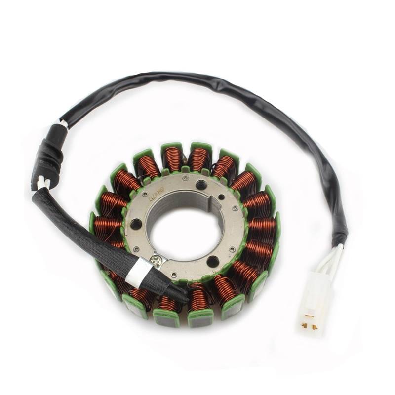 Motorrad Magneto Stator Coil Kompatibel Mit Yamaha FZ6 FZ6S FZ6N FZ6NS FZ6NA FZ6-SA2 FZ6-S2 FZ6-NHG Nude FZ6-NA FAZER S2 FZ6-SW FZ6-SAHG von DSPLJQRYX