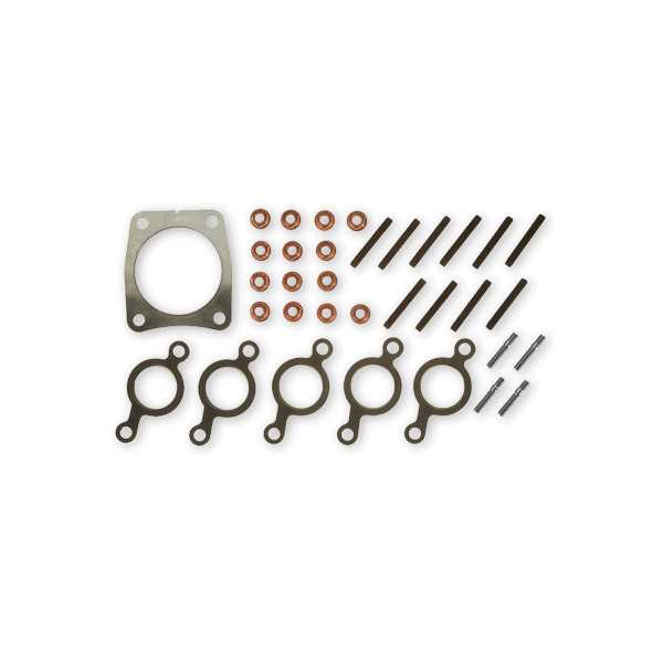 DT Spare Parts Montagesatz, Abgaskrümmer 1.10139 1400658,1493164,2091490 von DT Spare Parts