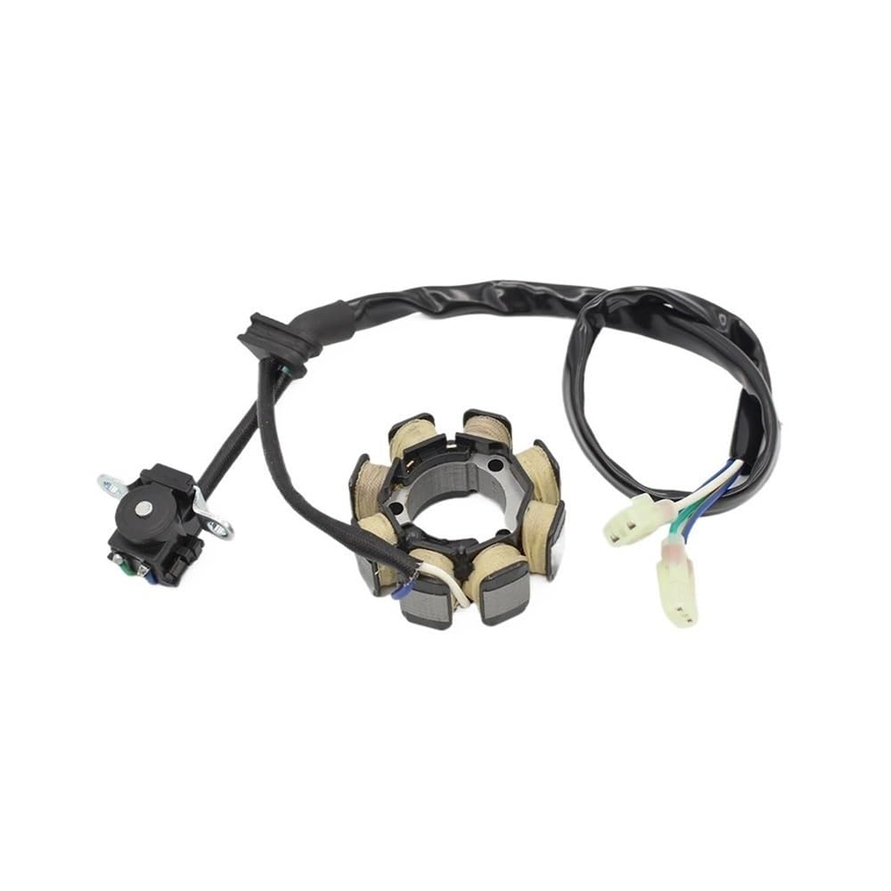 DUEYUU Motorrad-EFM-Spule Motorrad Magneto Stator Spule Für CRF450R 2005-2008 CRF250 CRF250R von DUEYUU