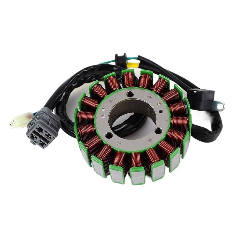 DUEYUU Motorrad-EFM-Spule Motorrad für Motor Generator Magneto Stator Spule Für Bombardier Für Canam DS250 FÜR Can Am für DS 250 2008-2016 S31120RCA000 von DUEYUU