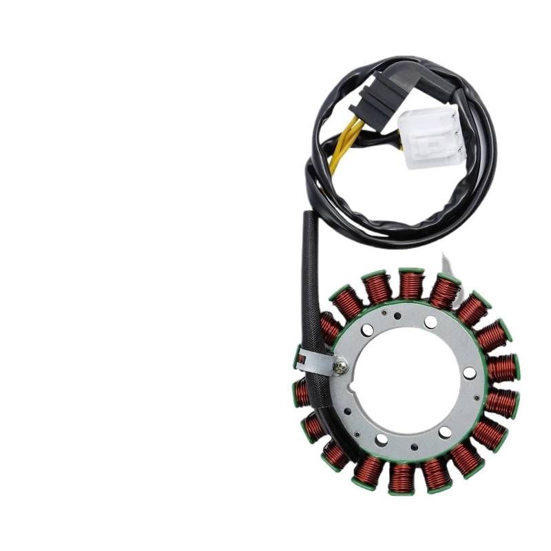 DUEYUU Motorrad-EFM-Spule Stator Coil Magneto Generator für CBR900RR CBR929RR 2000-2001 Motorrad von DUEYUU