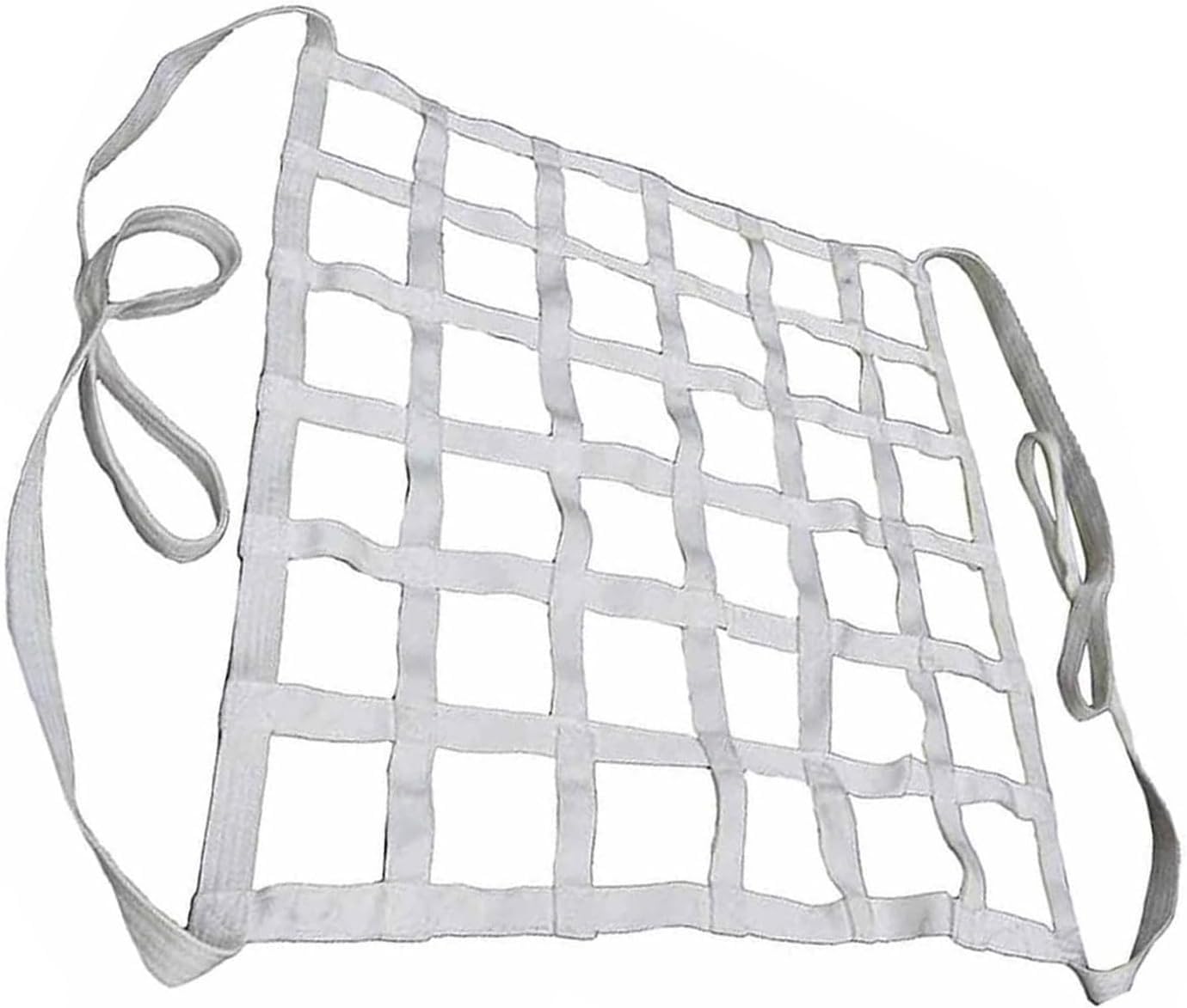 Gurtbandnetz Ladungssicherungsnetz - Hebenetzgurte – Schlingennetz, Last 0,3–3,5t Hebesack, Be Und Entladen Von Garten Hebenetzgurten, Handhabungsgurten, Outdoor Kletter Sicherheitsnetz(1 X 1M/Mesh 10 von DUOAZJL