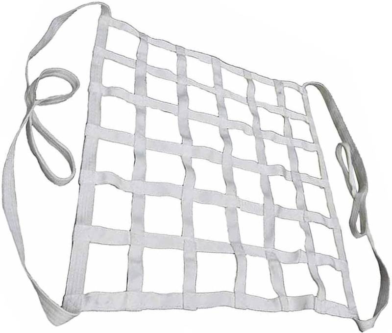 Gurtbandnetz Ladungssicherungsnetz - Hebenetzgurte – Schlingennetz, Last 0,3–3,5t Hebesack, Be Und Entladen Von Garten Hebenetzgurten, Handhabungsgurten, Outdoor Kletter Sicherheitsnetz(2 X 2M/Mesh 20 von DUOAZJL